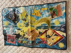 ポケットモンスター　SUN &MOON 敷物