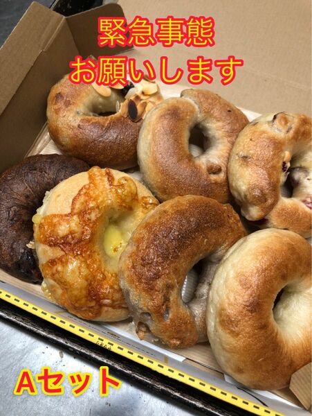 【困ってます】Aセット国産小麦のベーグル7種類