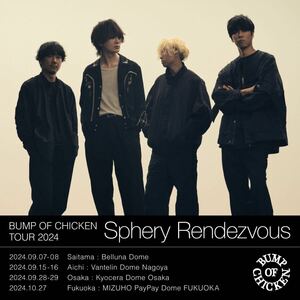 BUMP OF CHICKEN TOUR 2024 Sphery Rendezvous ライブチケット最速先行抽選 シリアル コード Iris
