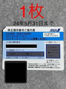 1枚 ANA 全日空 株主優待 株主優待券 2024年5月31日まで