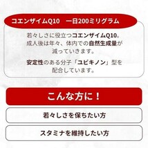 コエンザイムQ10 サプリ 60日分 120粒｜1日200mg｜植物性カプセル NUTRIMEA フランス製_画像3