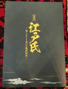 常陸の戦国武将　江戸氏　城郭絵地図水戸城