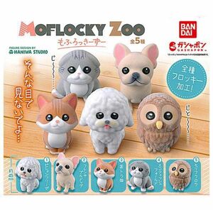 MOFLOCKY ZOO もふろっきーずー スコティッシュフォールド