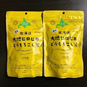 北海道大地ヒロビロとうもろこし茶　　　　　　　100g(20袋入り・テトラ型ティーバッグ) ×2袋
