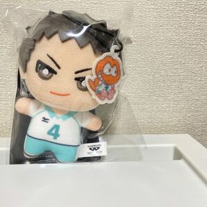 ハイキューサンリオキャラクターズ　ちみっともぬい　岩泉一　新品未使用