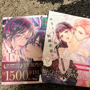 【2冊セット】奈々子と薫堕落していく、僕たちは。 、エリートαの制御不能な溺愛～氷のαは秘密 