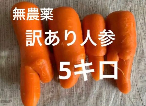 訳あり人参5キロ