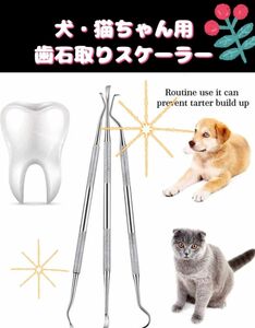 新品未使用品 犬・猫ちゃん用 歯石取りスケーラー デンタルケアキット