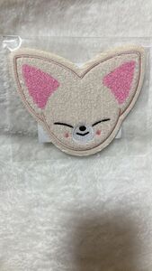 stray kids アイエン　刺繍サガラコースター　スキズ　skzoo