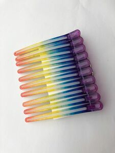 新品未使用　10本セット　ダッカール　レインボー色　ヘアクリップ