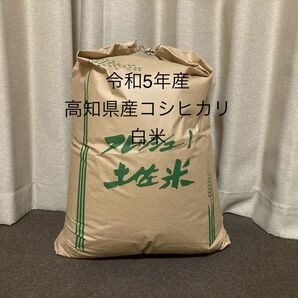 令和5年高知県産　コシヒカリ20kg白米