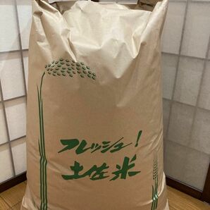 令和5年産高知県コシヒカリ　20kg白米