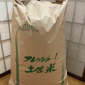 令和5年産　高知県コシヒカリ24kg玄米