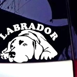 ラブラドールレトリーバー ステッカー 犬 おしゃれ かわいい 大型犬 シルバー
