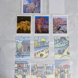 ポストカード　高楽寺シダレザクラ(八王子市高尾) 4枚入り×2セット　 えびす屋　浅草 絵画　絵はがき 6枚入り 計14枚セット 