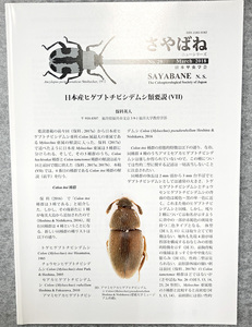 sa. spring no.29 March 2018 год 3 месяц номер sayabane n.s. Япония . насекомое ..higebtochibisitemsi