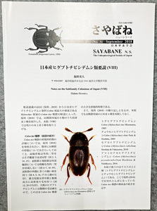 さやばね no.31 September 2018年 9月号 sayabane n.s. 日本甲虫学会 ヒゲブトチビシデムシ