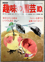 NHK 趣味の園芸 昭和54年 10月 実を楽しむ花木 クロトンを育てる ガーデニング 盆栽 花壇 菜園_画像1