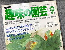 NHK 趣味の園芸 昭和55年 9月 木立ち性ベゴニア ガーデニング 盆栽 花壇 菜園_画像2