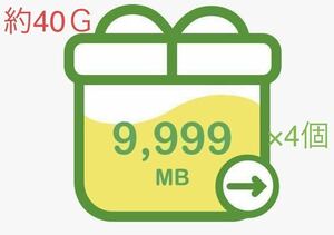 マイネオ パケットギフト（約40GB） mineo 管理No.9 10GB ×4