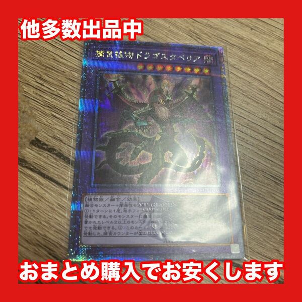 遊戯王　捕食植物ドラゴスタペリア　25th クオシク　レアリティコレクション