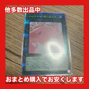 遊戯王　メルフィーとにらめっこ　25th クオシク　quarter century chronicle side unity