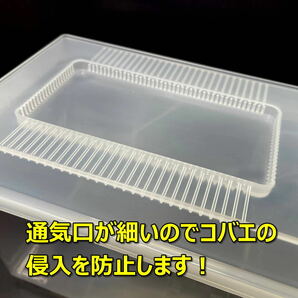 【RK】飼育ケース セパレートケース 小 3.5L 新品 3個 カブトムシ・クワガタ 成虫飼育に最適 コバエ抑制の画像5