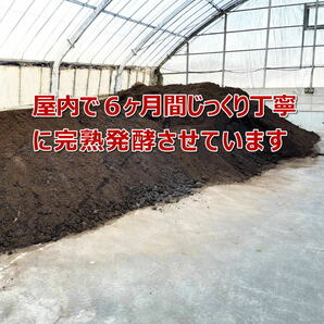 【RK】カブトマット 10L 5個 完熟発酵 菌床マット スタンダード 国産・外国産カブトムシに最適！！ 幼虫・産卵におすすめ！の画像6