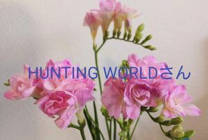 同梱品　HUNTING WORLDさん専用