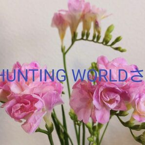 同梱品　HUNTING WORLDさん専用