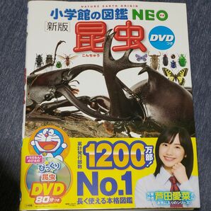 小学館の図鑑NEO 昆虫