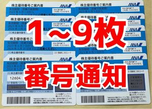 ★☆ANA 全日空 株主優待券★１〜9枚対応 2024.5.31まで搭乗分☆★⑥