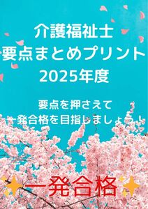 介護福祉士　国家試験対策　要点まとめプリント