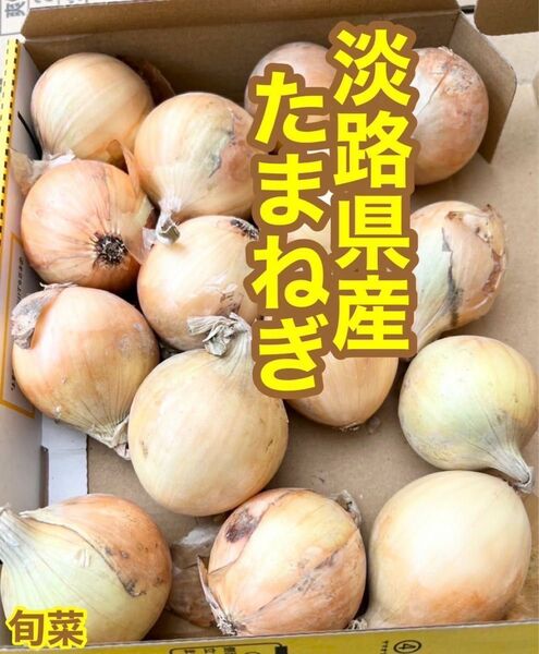 新玉ネギ　淡路産　Mサイズ　正規品　約２キロ