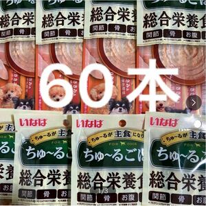 いなば　ちゅ〜るごはん　総合栄養食　とりささみ＆チーズ緑黄色野菜　14g 4本入×15袋　ちゅーるごはん　犬　チュール