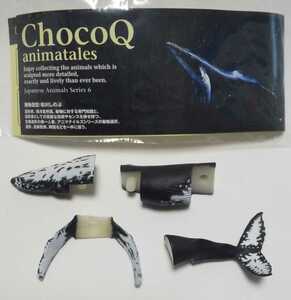 チョコQ 「163 ザトウクジラ　クジラ目 ナガスクジラ科」（日本の動物シリーズ6）　未組立