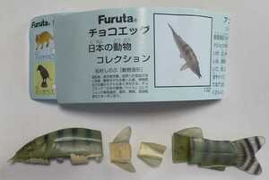 チョコエッグ 「アユモドキ」 日本の動物コレクション　 (未組立)　フルタ
