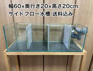 サイドフロー水槽 60センチ リフジウムや隔離、サブ水槽に。 海水魚 サンゴ