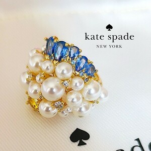 [ new goods * genuine article ] Kate Spade rain or car Yinling g