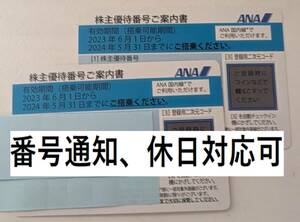 ANA株主優待券 2枚 番号通知のみ 24時間内通知 日曜・祝日の対応可 2024年5月31日まで 全日空 ☆02