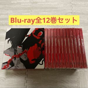 TVアニメ ペルソナ5 the Animation 完全生産限定版 Blu-ray 全巻セット 全12巻セット 全巻購入特典 描き下ろし全巻収納BOX付 PERSONA5