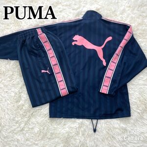 535 PUMA　テープロゴ　トラックパンツ　トラックジャケット　セットアップ プーマ 上下セット