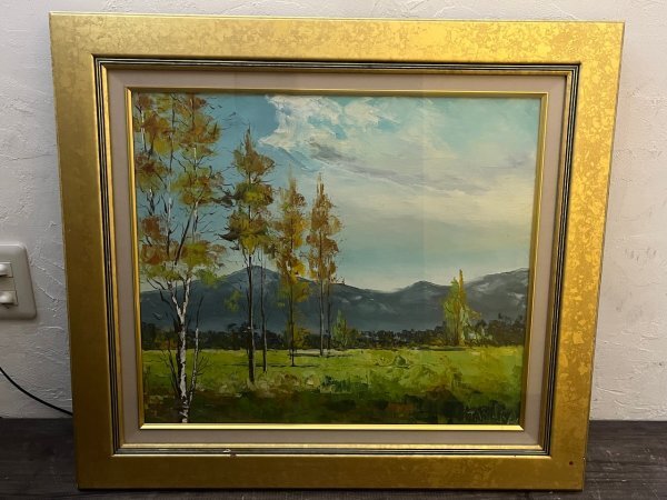 Artist unknown! TAMURA Blessed Earth F10 Oil painting Landscape painting Signed Framed 70.6cm x 63cm Acrylic, Painting, Oil painting, Nature, Landscape painting