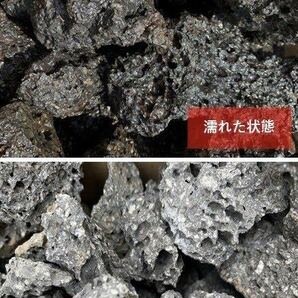 高濾過 溶岩石 3kg 50-100㎜ 黒 水槽 アクアリウム パルダリウム 水槽の画像3