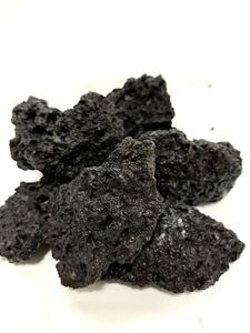 【送料無料】 高濾過 溶岩石 10個 50-100㎜ 黒 水槽 アクアリウム パルダリウム コケリウム テラリウム ビオトープ