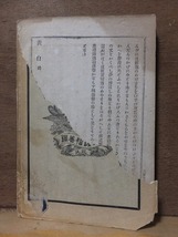 源氏物語 湖月抄　 首巻　　　　　 積善館　　　　　廃棄本ヤケシミ破れ他_画像3