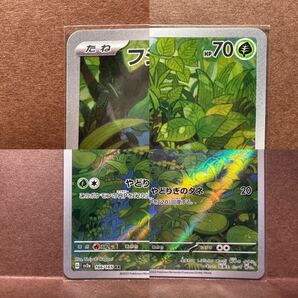 ポケモンカード151 幻のスペシャルパック 7枚セット SAR AR フシギバナex カメックスex フシギソウ カメール ポケモンカードゲーム トレカの画像6