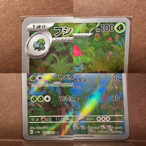 ポケモンカード151 幻のスペシャルパック 7枚セット SAR AR フシギバナex カメックスex フシギソウ カメール ポケモンカードゲーム トレカの画像4