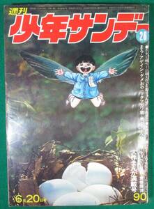 【希少】週刊 少年 サンデー 1971年 6月20日号 No.26 昭和 46年 レトロ/モンキー パンチ/あだちつとむ/永島慎二/永井豪/楳図かずお/根