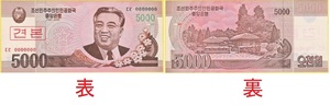 送料６３円★見本　紙幣★２００８年★５０００ｗ★金日成★デノミ後★北朝鮮★未使用★匿名配送も可